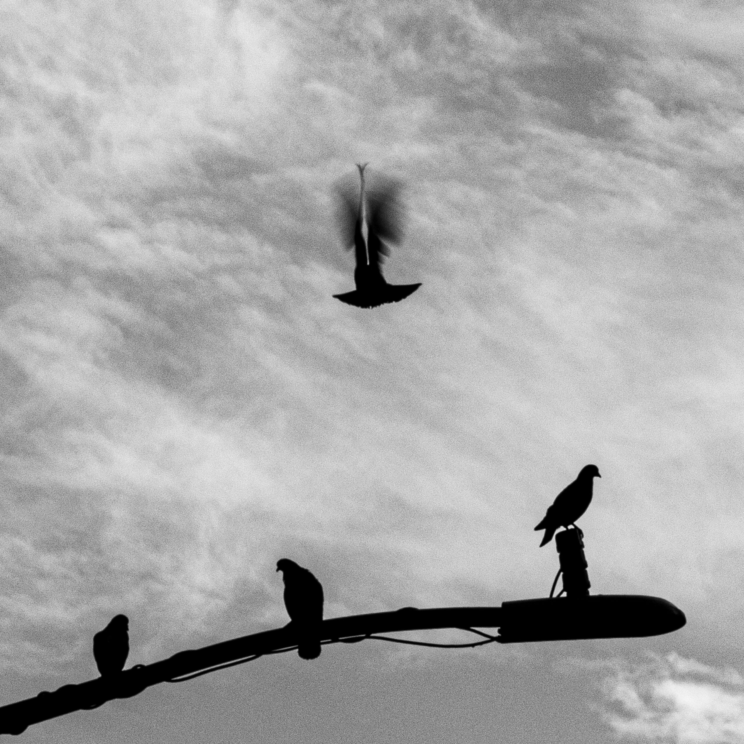 Up In The Sky Adrian Schaub Photography